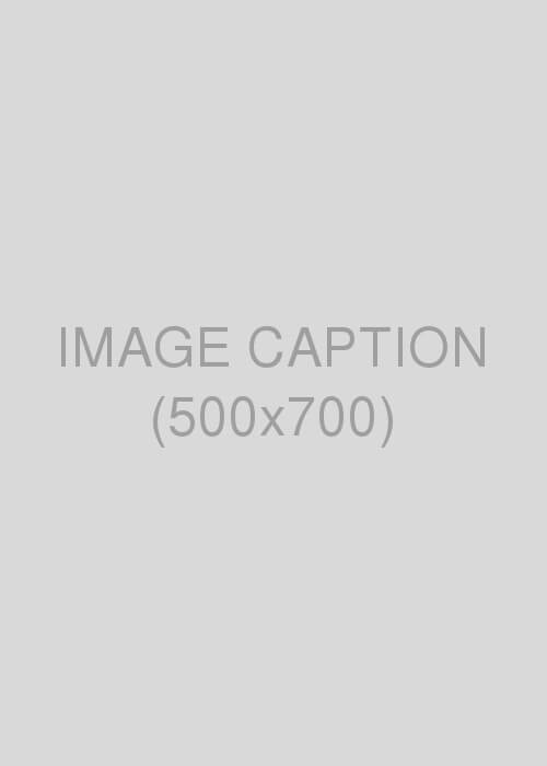 image-caption-3